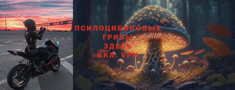 Псилоцибиновые грибы MAGIC MUSHROOMS  где купить наркоту  Набережные Челны 